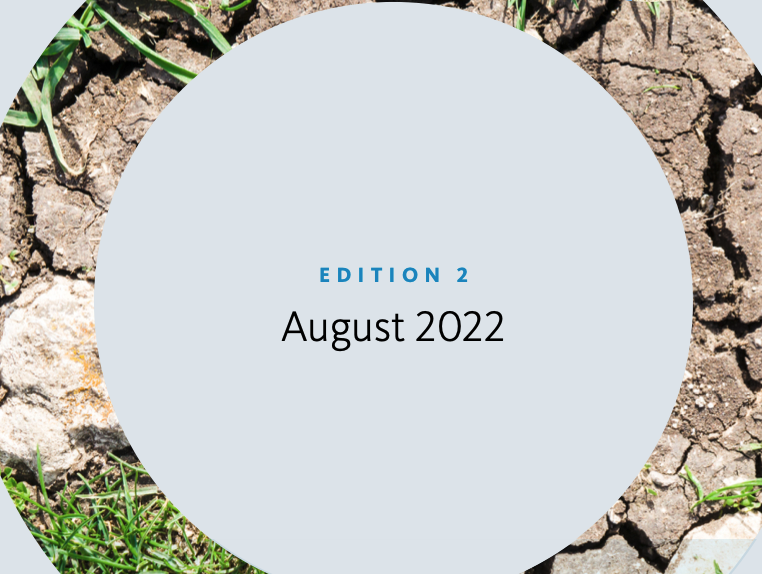 Subsidence Watch 2023 | Edition 2 | August 2022