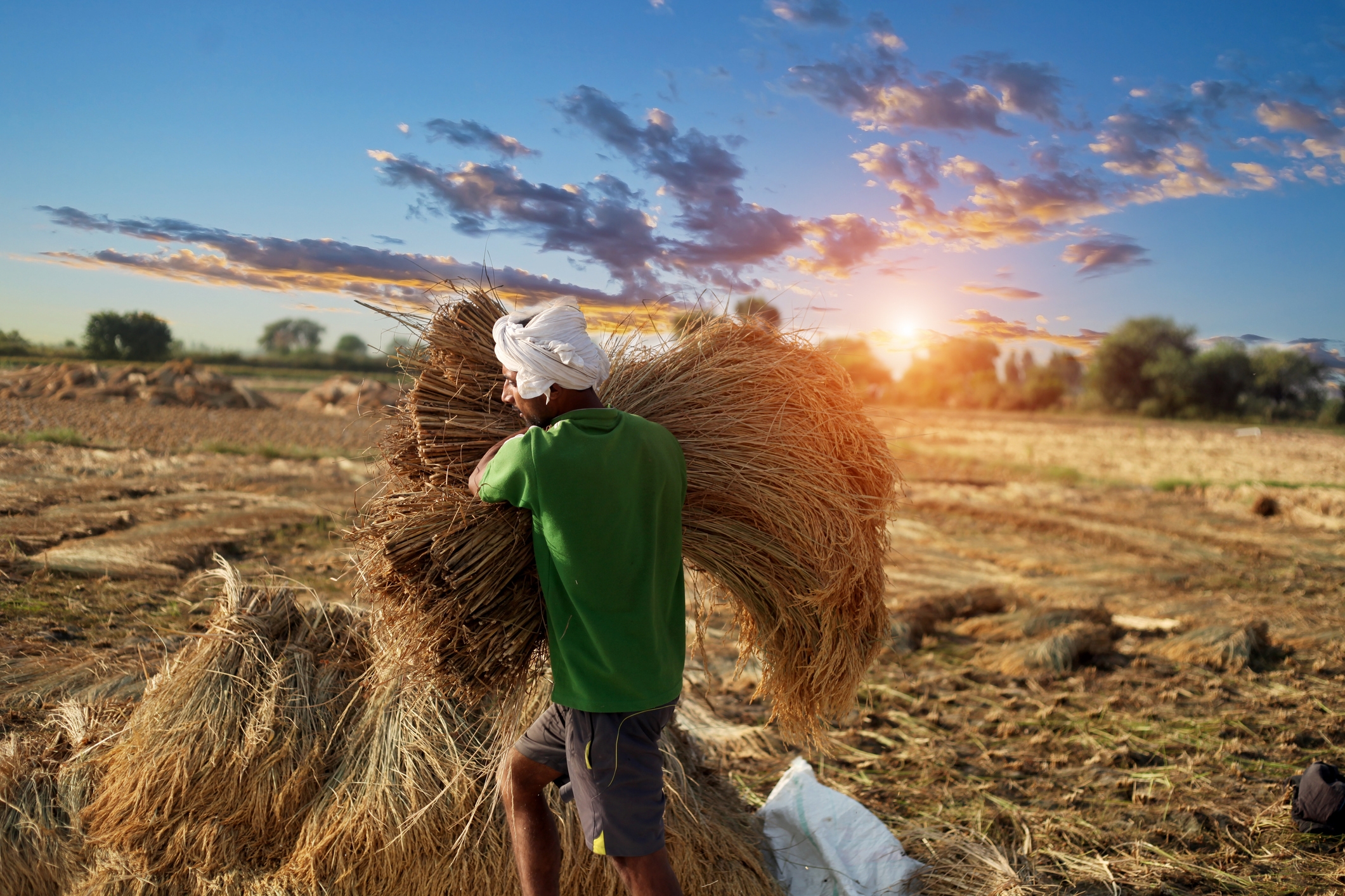 Food safety priorities for the coming year