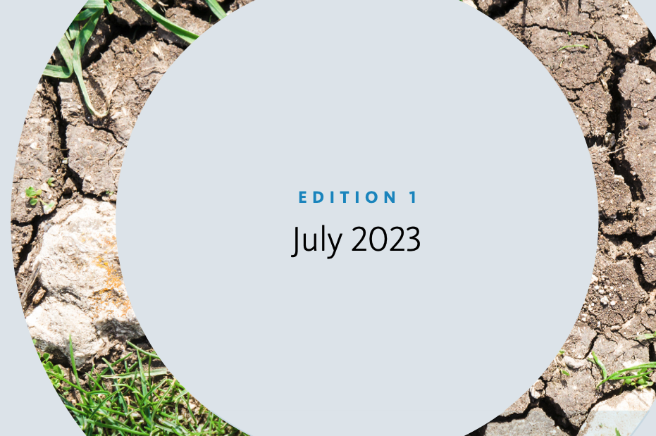 Subsidence Watch 2023 | Edition 1 | July 2023