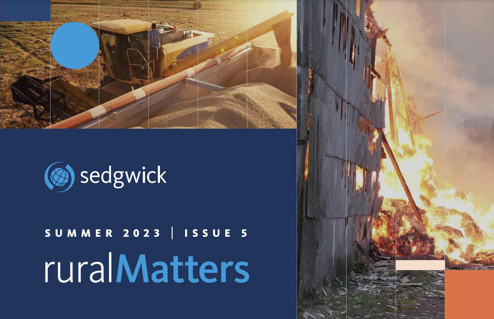 A capa do boletim informativo ruralMatters, edição 5, do verão de 2023.