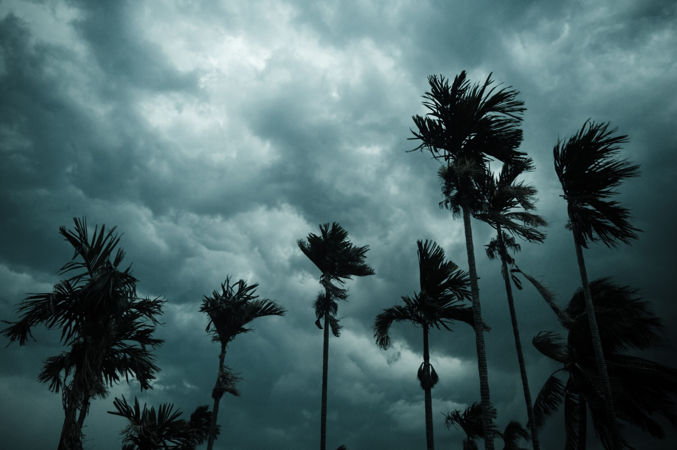 Hurrikanbeobachtung 2024: Die Bedeutung der Vorausplanung