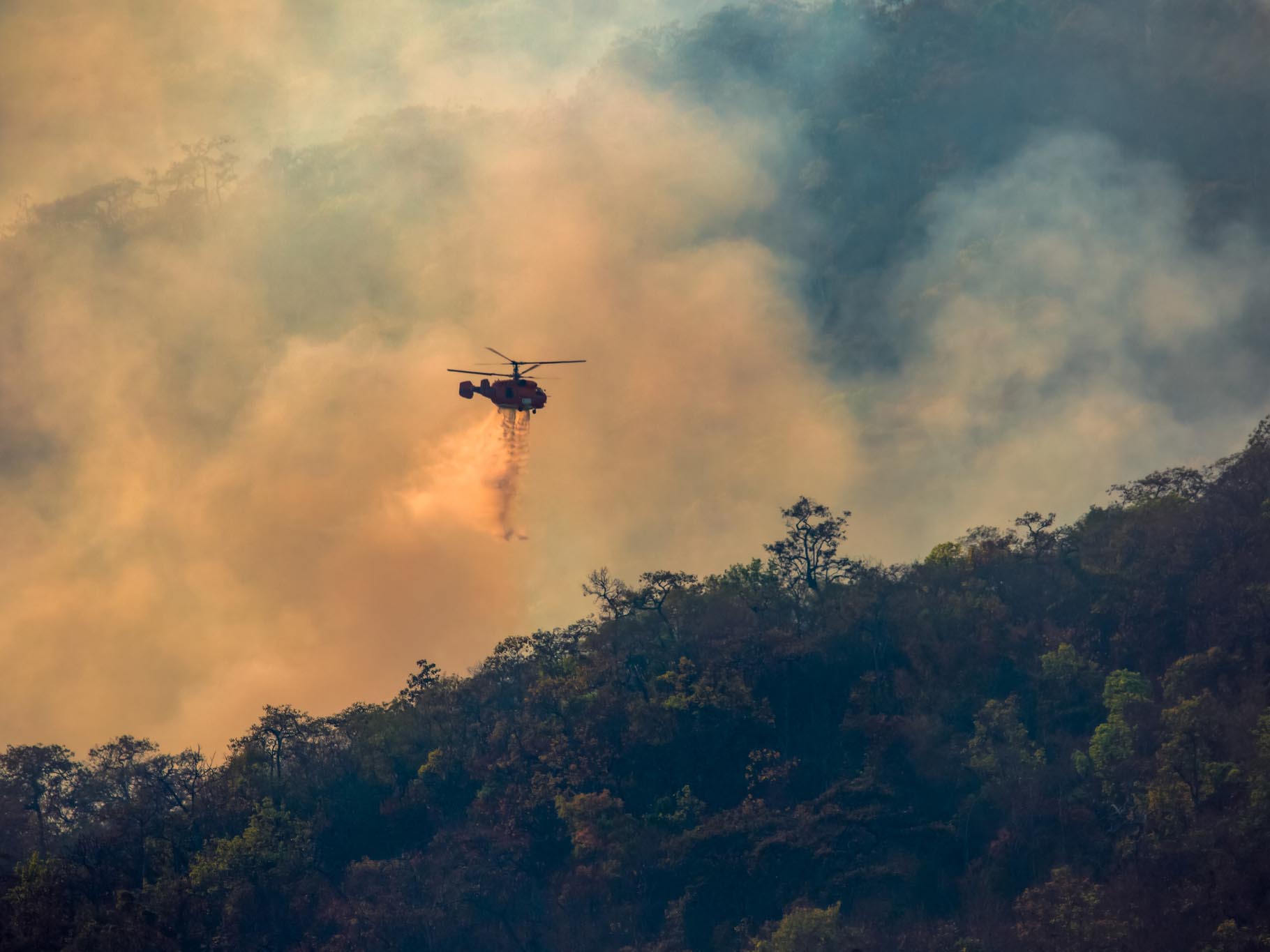 South Korea wildfire claims to 'pour in', Japan to see minimum insured losses 6 South Korea wildfire claims to ‘pour in’, Japan to see minimum insured losses