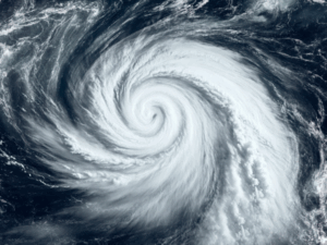 Expertly managing large property loss claims