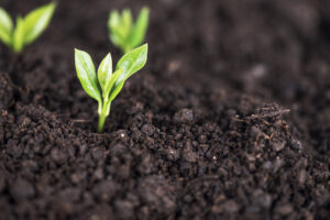 Reducing our environmental impact – UK