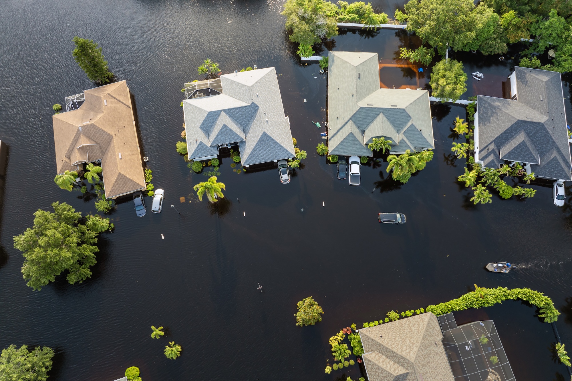 Stronger Storms, Smarter Response: Sedgwick’s Commitment to Clients