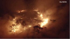 Fires in France – Sedgwick mobilization under the CAT plan