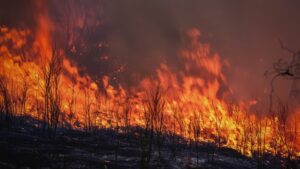 Fire ignites north of LA, prompts evacuations