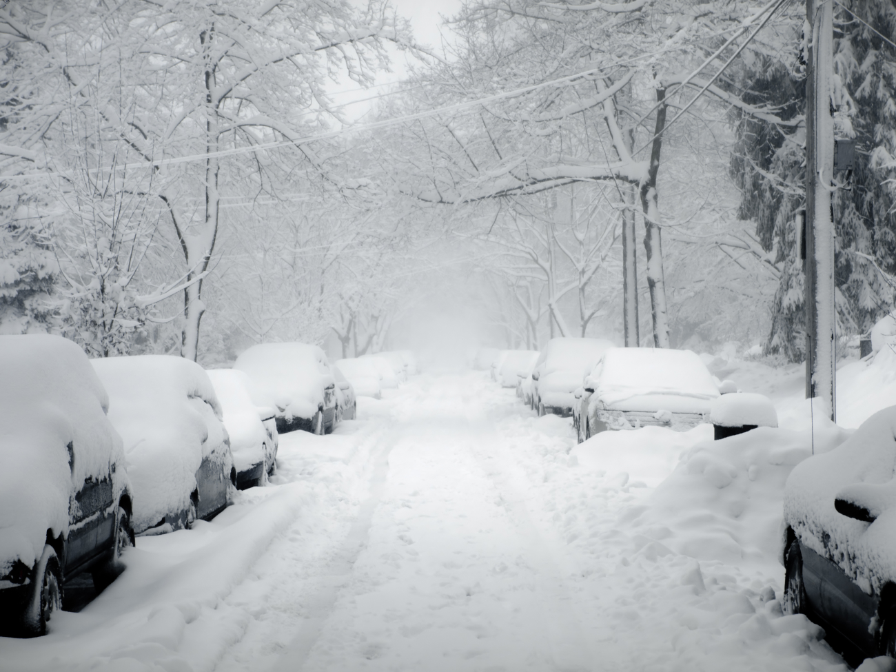 Helping you recover from winter weather  