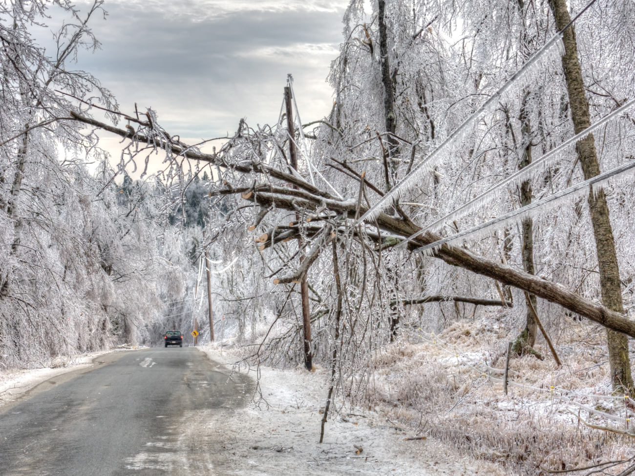 Winter Storm Fern expected to hit the U.S.