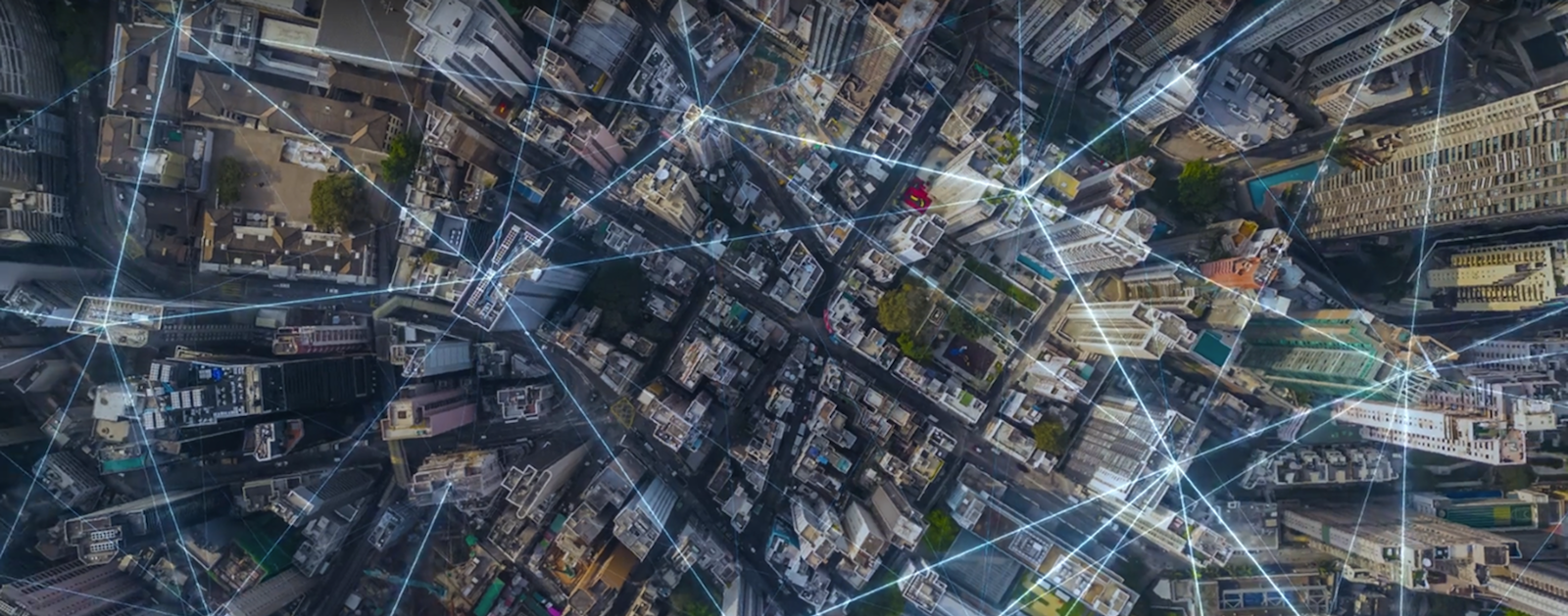 globalspecalty video