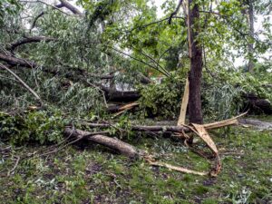 Storm Nils – Sedgwick Mobilization