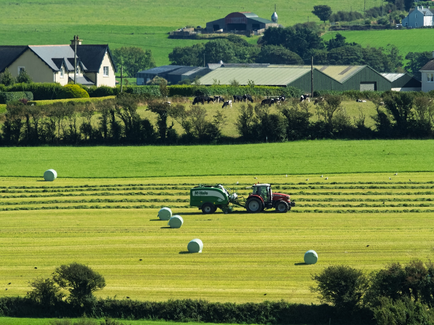 Cómo hacer frente a la inestabilidad de los riesgos y los costes en el mercado agrícola del Reino Unido