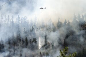 Incêndios florestais no Reino Unido: de exceção a realidade e o crescente risco para as seguradoras