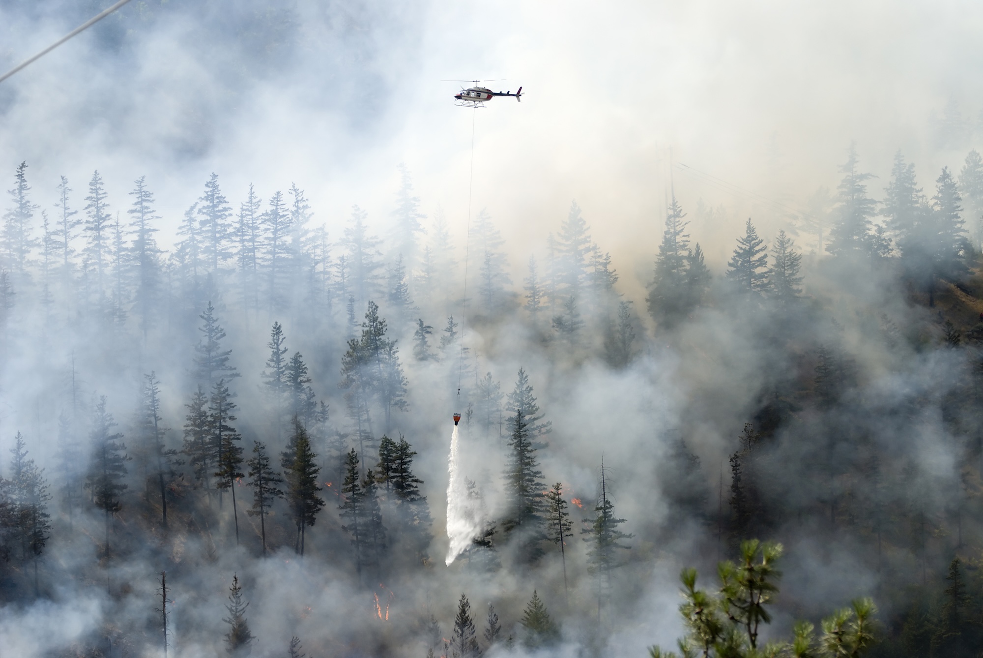 Incendies de forêt au Royaume-Uni : d'un phénomène rare à une réalité, et un risque croissant pour les assureurs