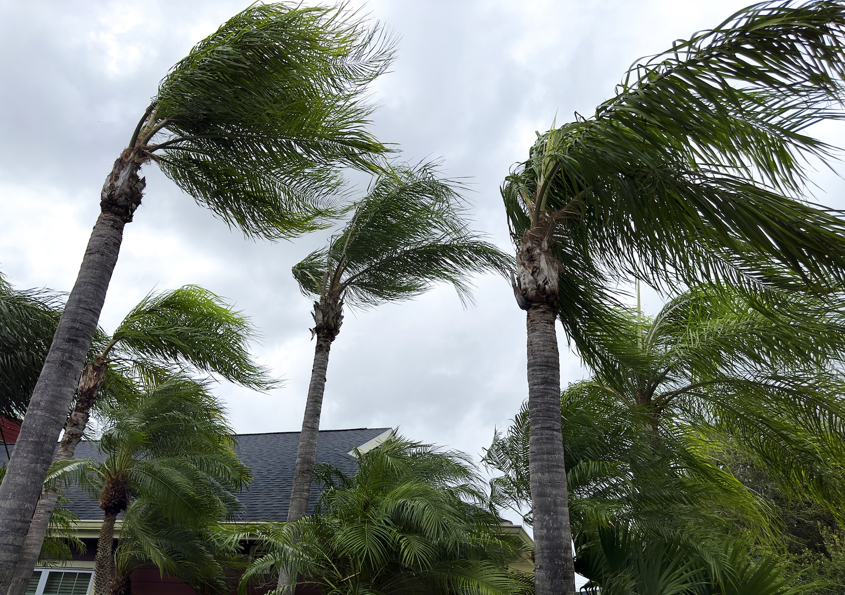 Gulf Coast braces for Bertha after severe storms strike the Northeast