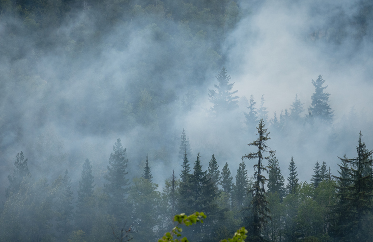 Kebakaran hutan terus mengancam masyarakat di seluruh British Columbia 