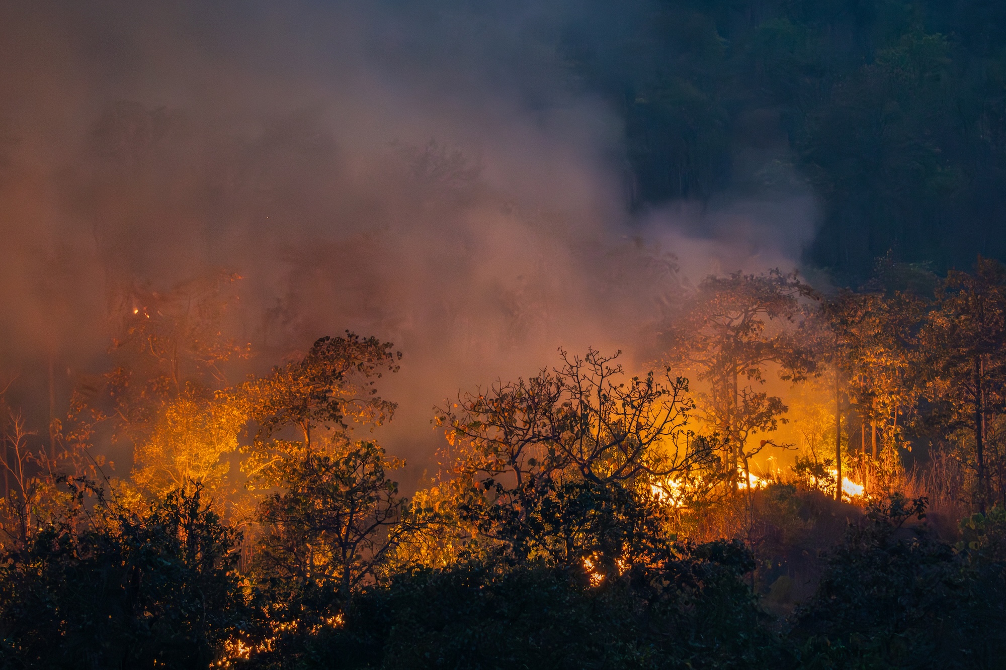 Los incendios forestales en el Reino Unido aumentan la demanda sobre las aseguradoras