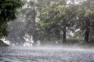 La côte du Golfe se prépare à la tempête tropicale Isaias